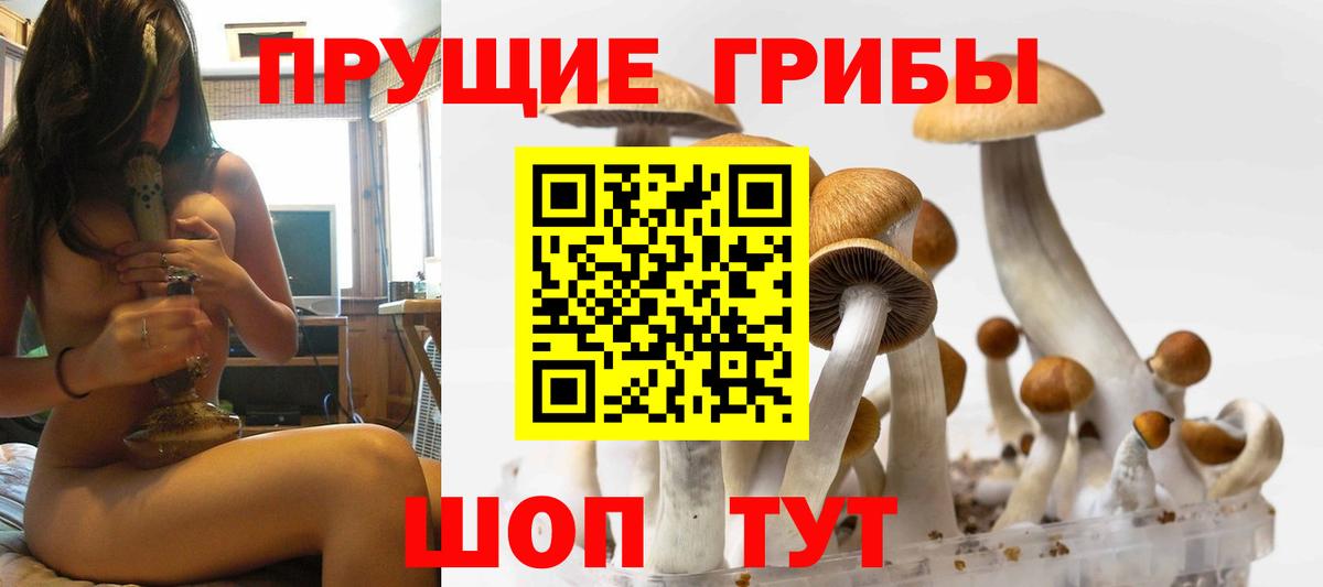 Галлюциногенные грибы мухоморы Невинномысск